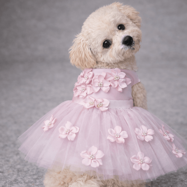 Pink Ceremony Dress – Heads or Tails Pup