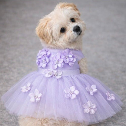 Purple Ceremony Dress