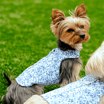Blue Floral Toile Harness
