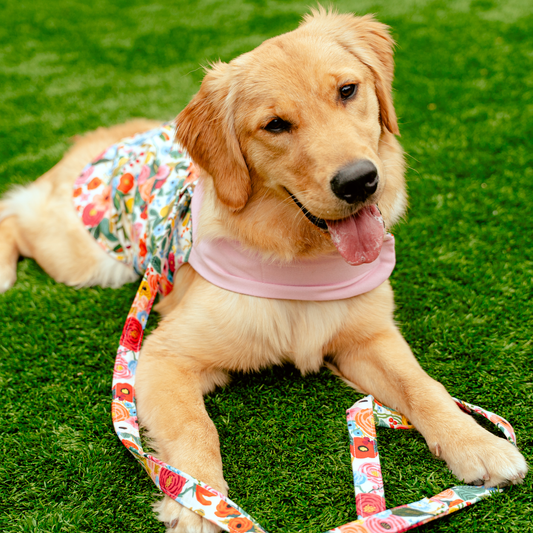 Floral Burst Harness in Cherry Blossom Pink