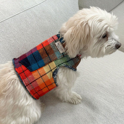 Fireside Plaid Harness
