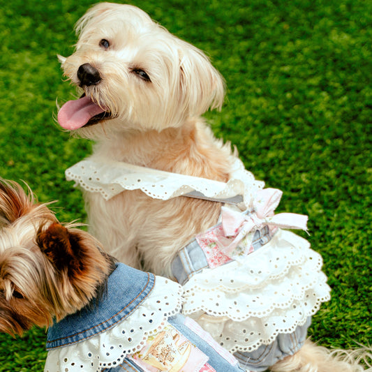 LovePackPuppy Overalls
