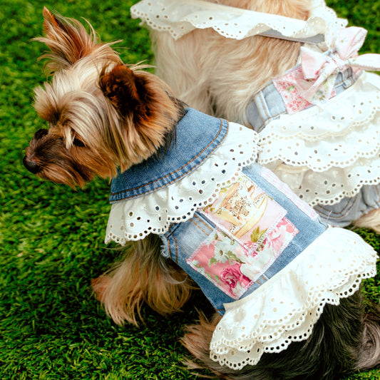 LovePackPuppy Vest