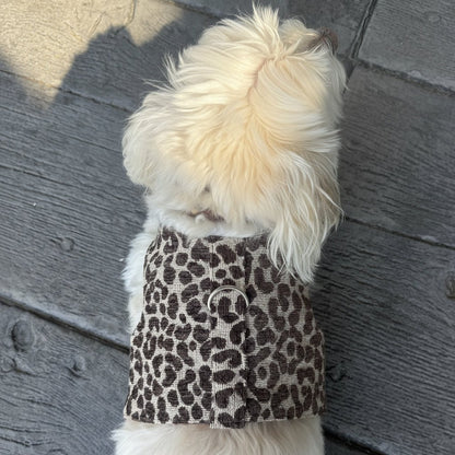 Dog wearing a leopard print harness on a wooden floor