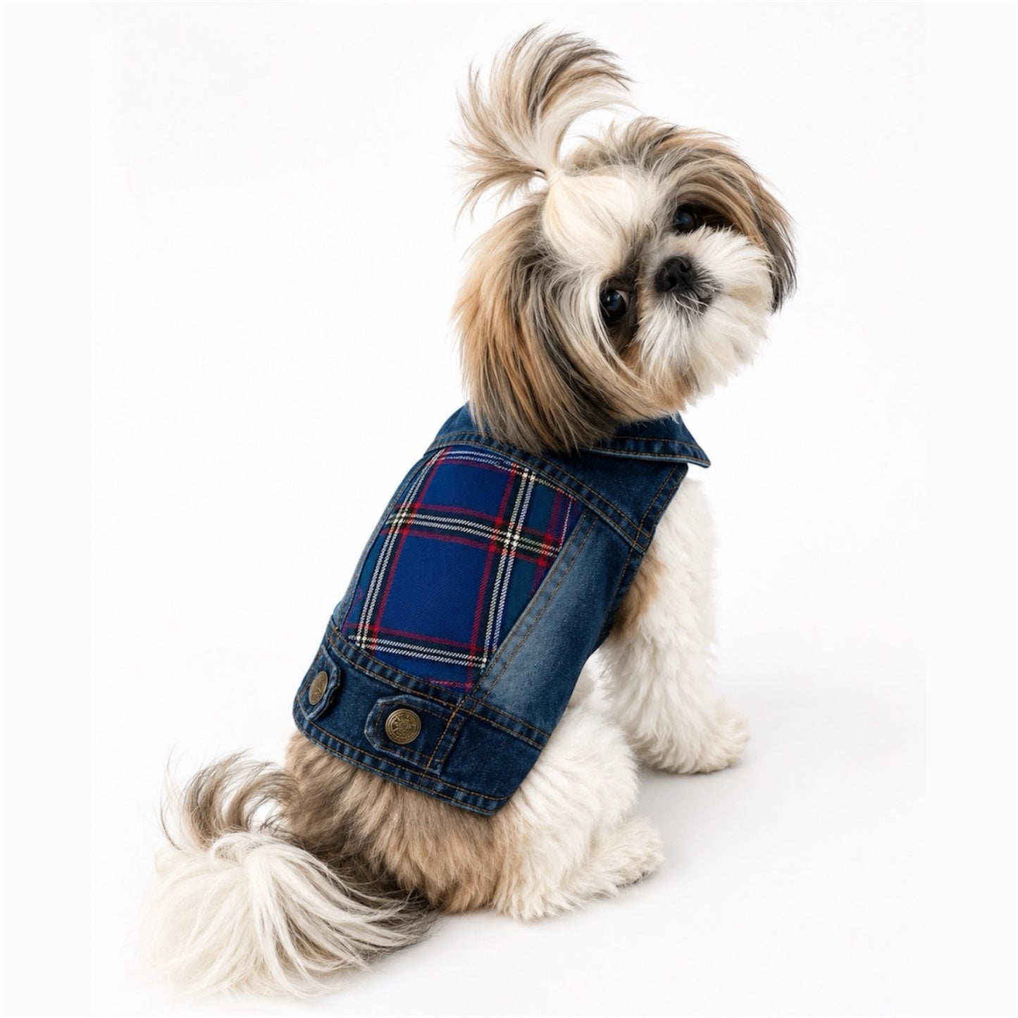 A small fluffy dog wearing a denim-style pet jacket with a blue, red, and yellow plaid pattern, photographed on a clean white background.